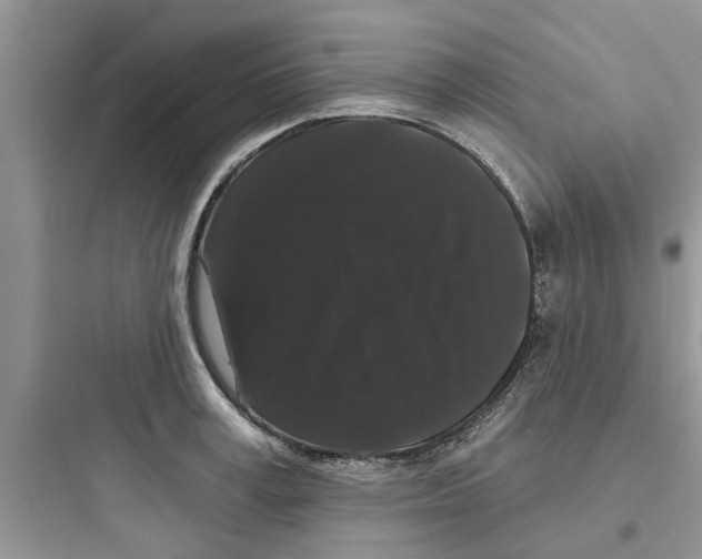 X0000097630995200803211805