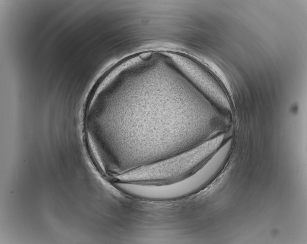 X0000097630997200803211805