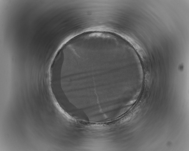 X0000097630998200803211805