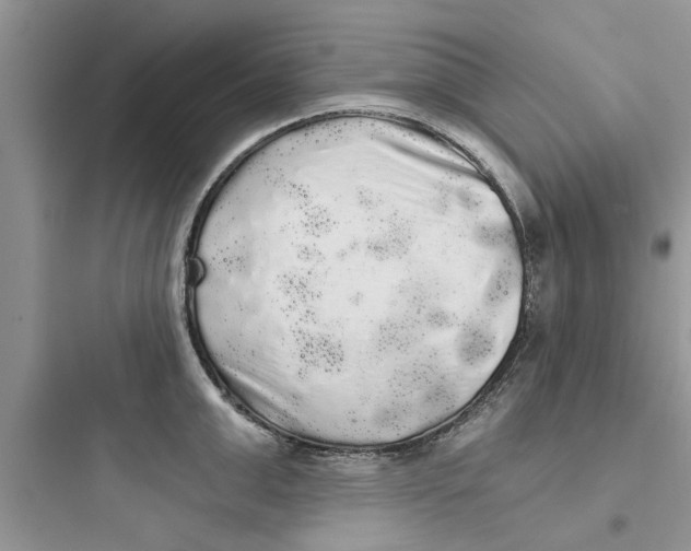 X0000097630999200803211805