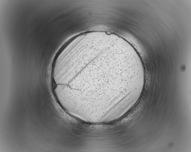 X0000097631000200803211805