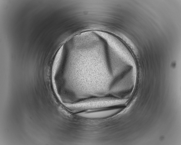 X0000097631001200803211805