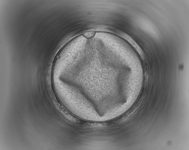 X0000097631002200803211805