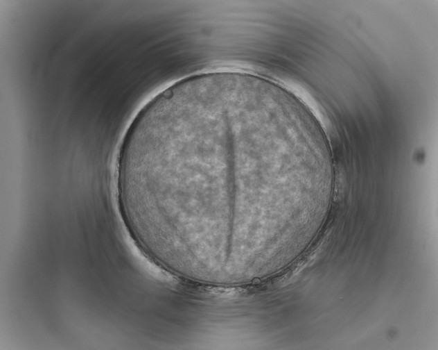 X0000097631003200803211805