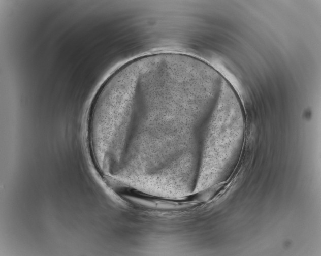 X0000097631005200803211805