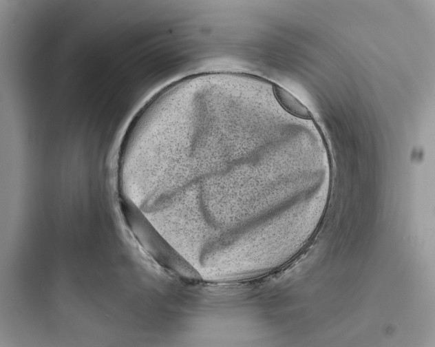 X0000097631008200803211805