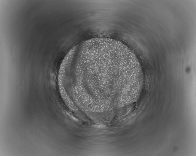 X0000097631010200803211804