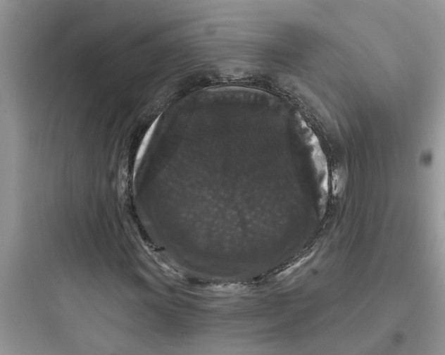 X0000097631011200803211804