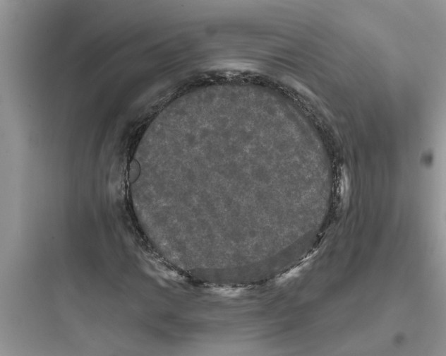 X0000097631014200803211804