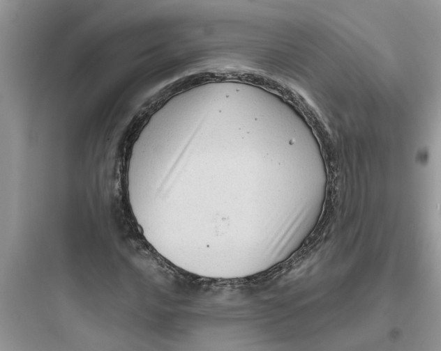 X0000097631016200803211804