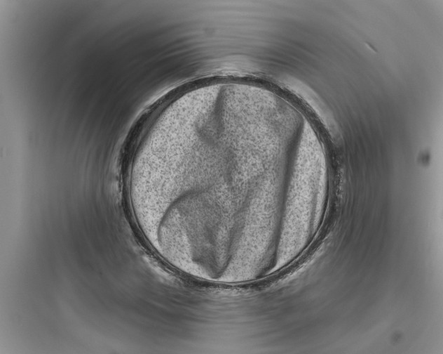 X0000097631018200803211804