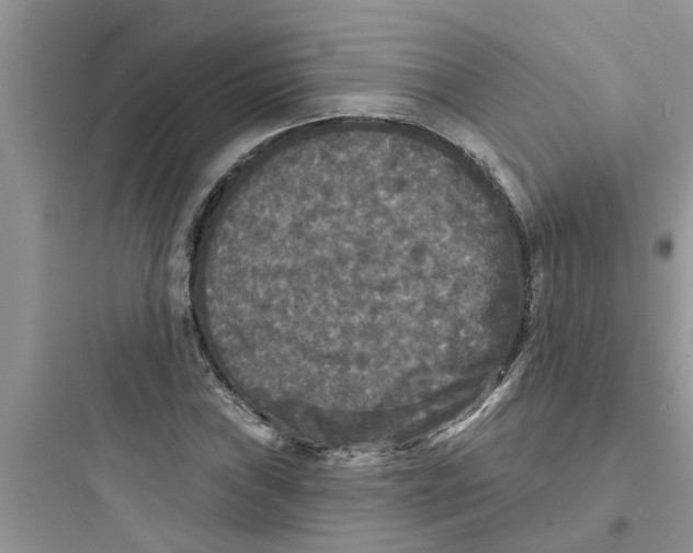 X0000097631019200803211804