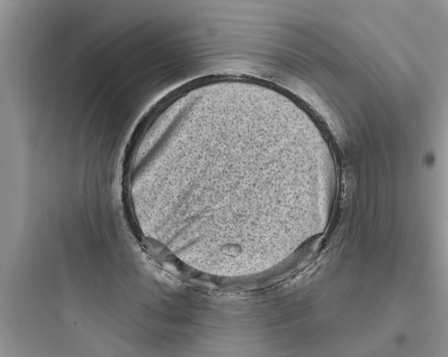 X0000097631020200803211804