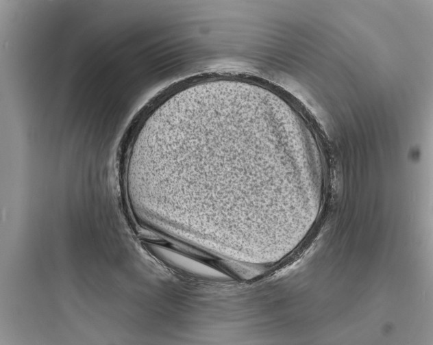 X0000097631022200803211804