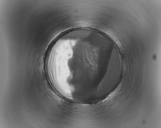 X0000097631023200803211804