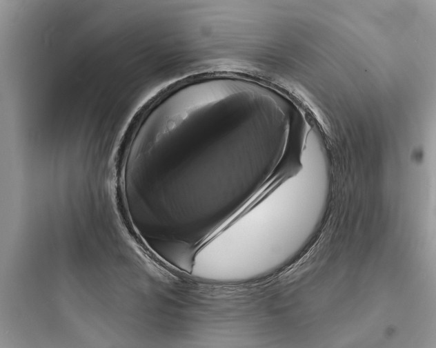 X0000097631024200803211804