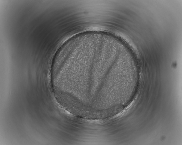 X0000097631025200803211804