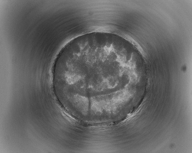 X0000097631027200803211804