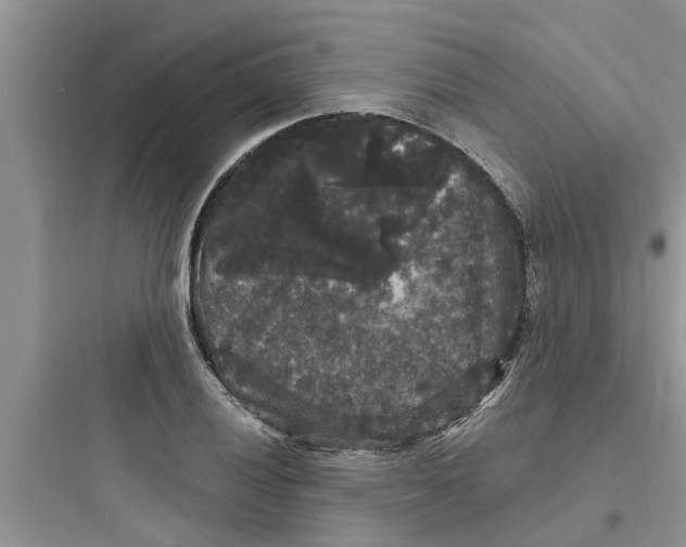 X0000097631028200803211804