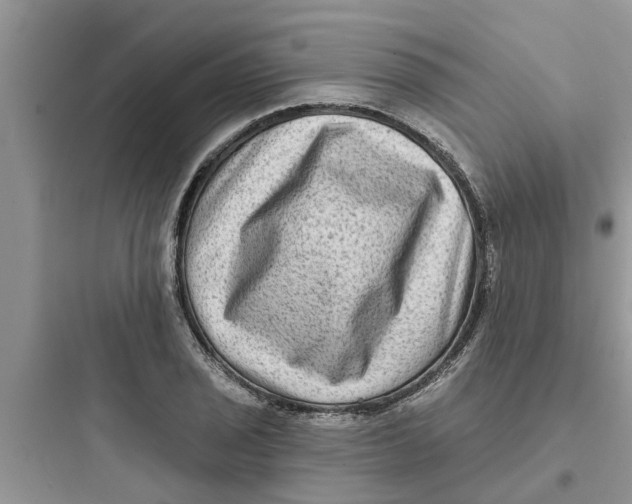 X0000097631029200803211804