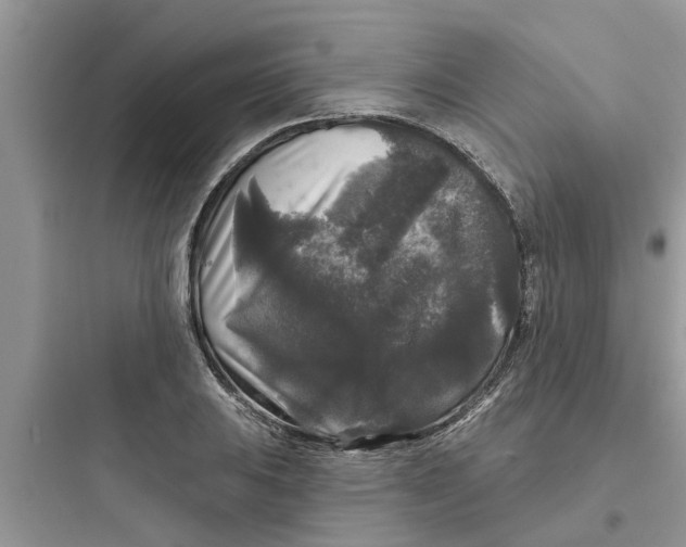 X0000097631031200803211804