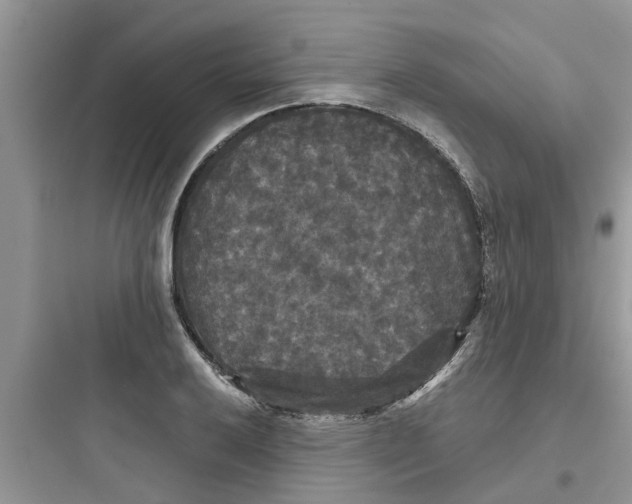 X0000097631032200803211805