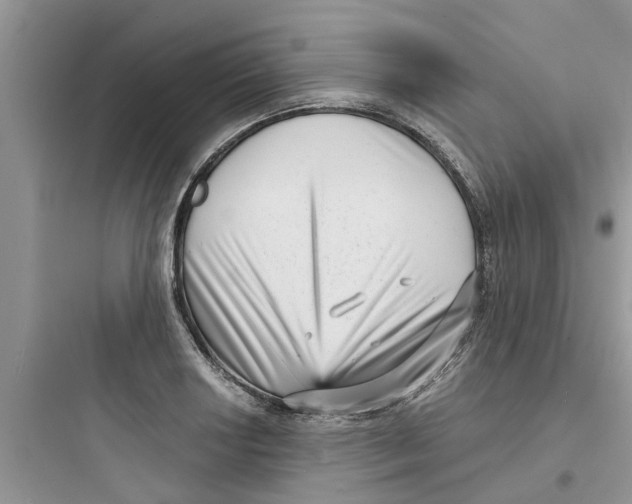 X0000097631034200803211805