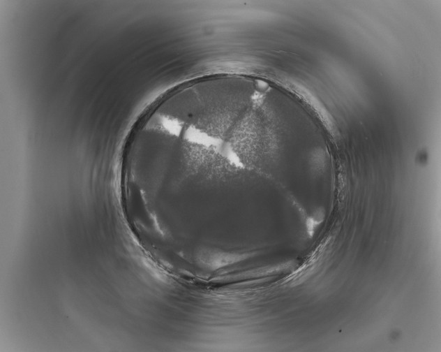 X0000097631035200803211805