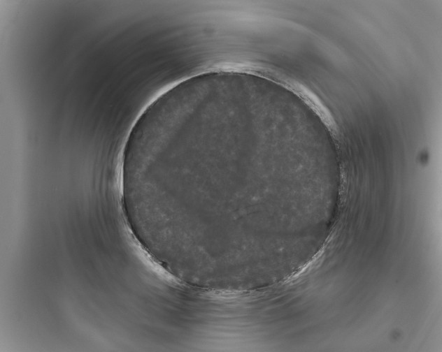 X0000097631036200803211805