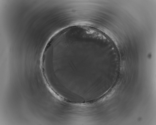 X0000097631037200803211805