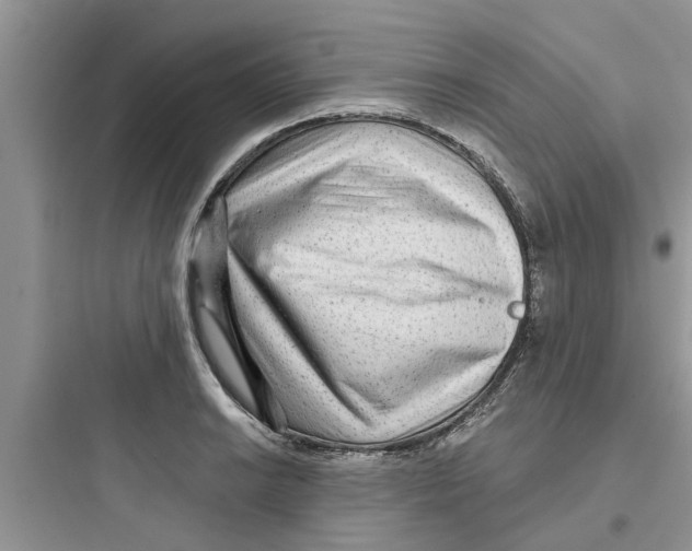 X0000097631038200803211805