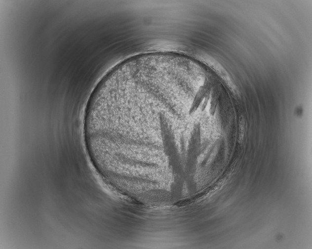 X0000097631039200803211805