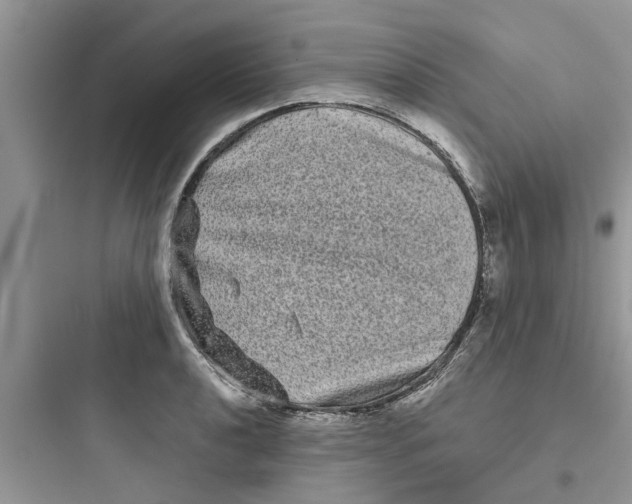 X0000097631040200803211805