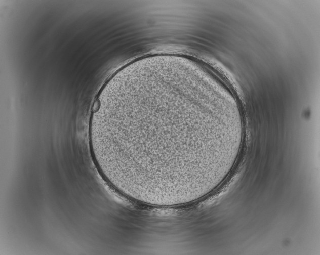 X0000097631041200803211805