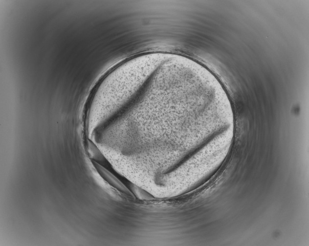 X0000097631042200803211805