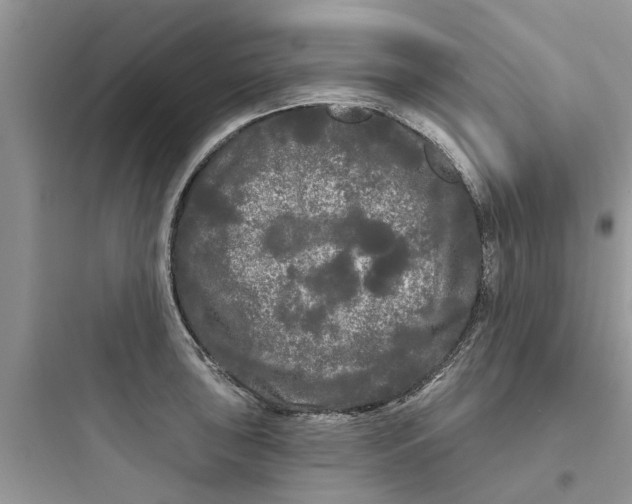 X0000097631043200803211805