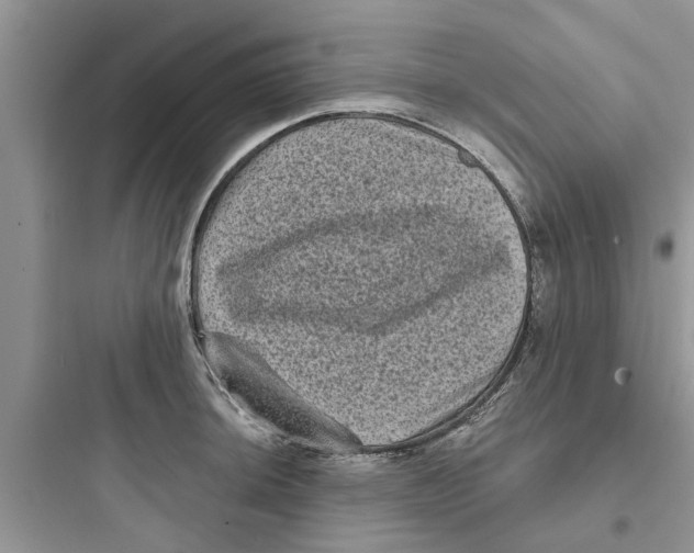 X0000097631044200803211805