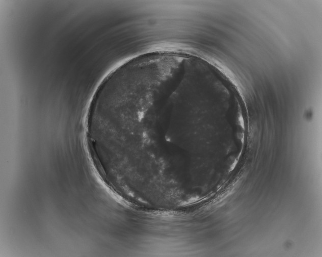 X0000097631045200803211805