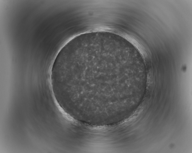 X0000097631047200803211805