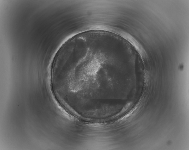 X0000097631048200803211805