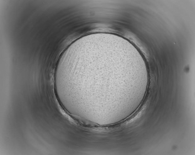 X0000097631049200803211805