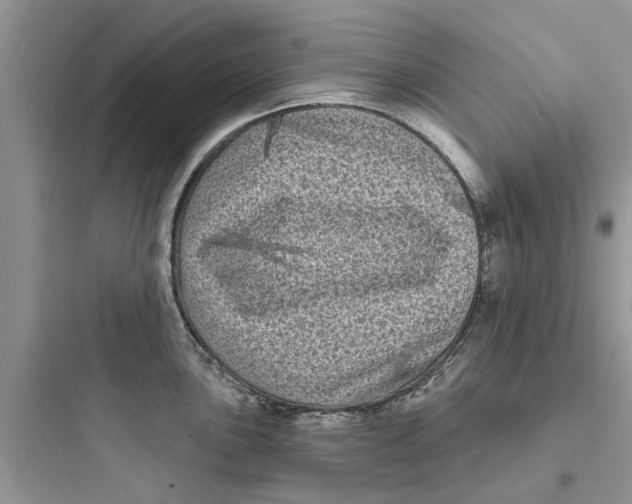 X0000097631051200803211805