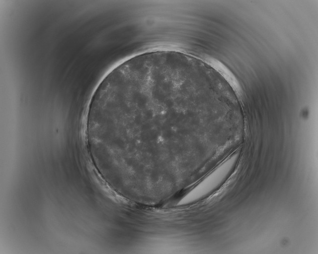 X0000097631052200803211805