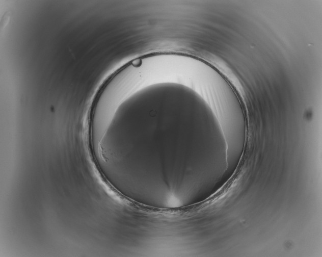 X0000097631053200803211805