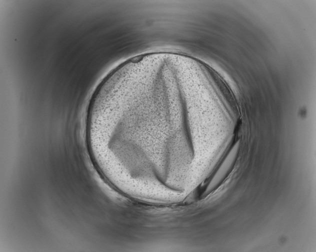 X0000097631054200803211805