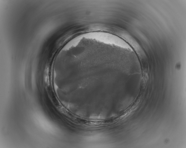 X0000097631055200803211805