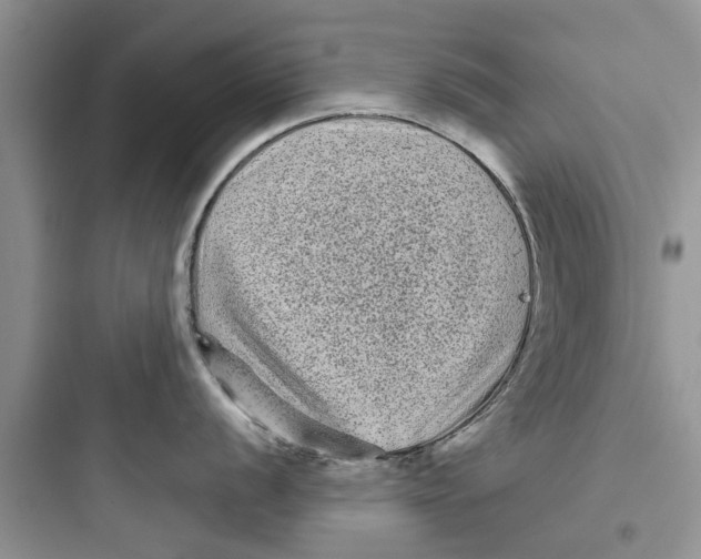 X0000097631056200803211805