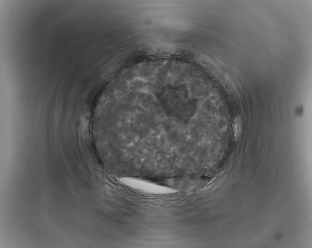 X0000097631059200803211804