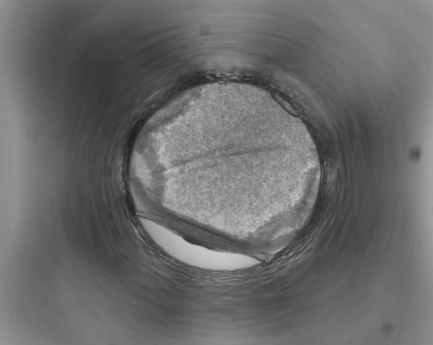 X0000097631060200803211804