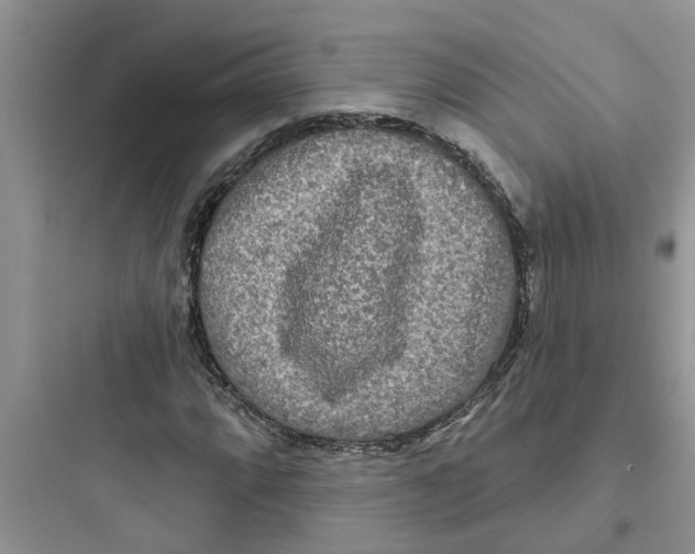 X0000097631064200803211804